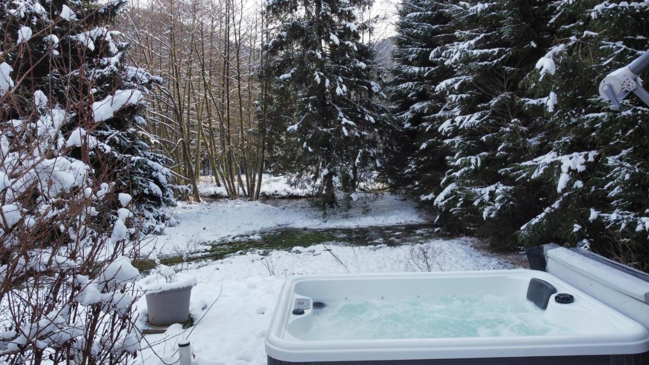 Villa Le Petit Bouchot & Jacuzzi Privatif Proximite Gerardmer & La Bresse Rochesson Exterior foto